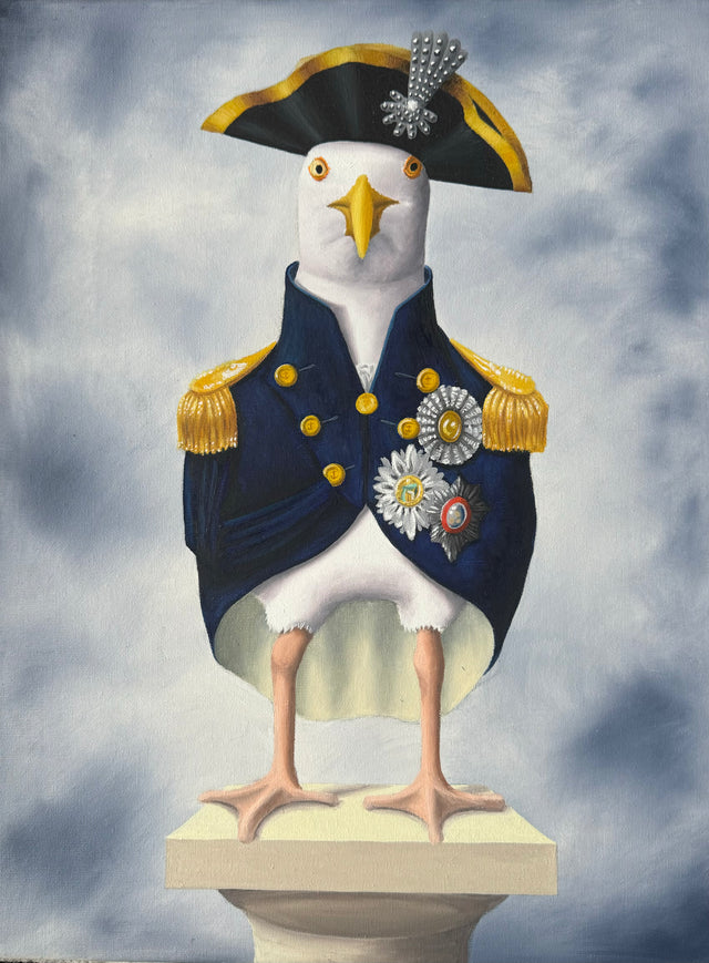 
Brighton Birds: Admigull Nelson