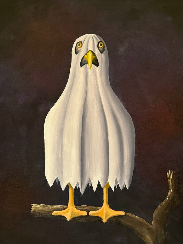 
Brighton Birds: A Sea Ghoul